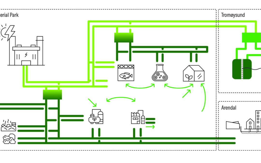 A symbiosis of sustainable businesses